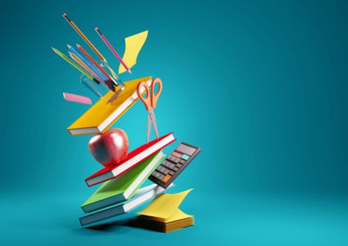 2021年非京籍子女在京接受义务教育入学指南 时间安排与信息采集详解