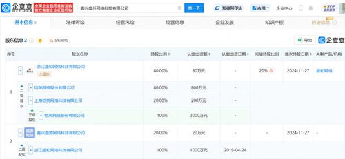 恺英网络嘉兴布局 投资成立网络科技公司，拓展信息技术咨询服务新赛道