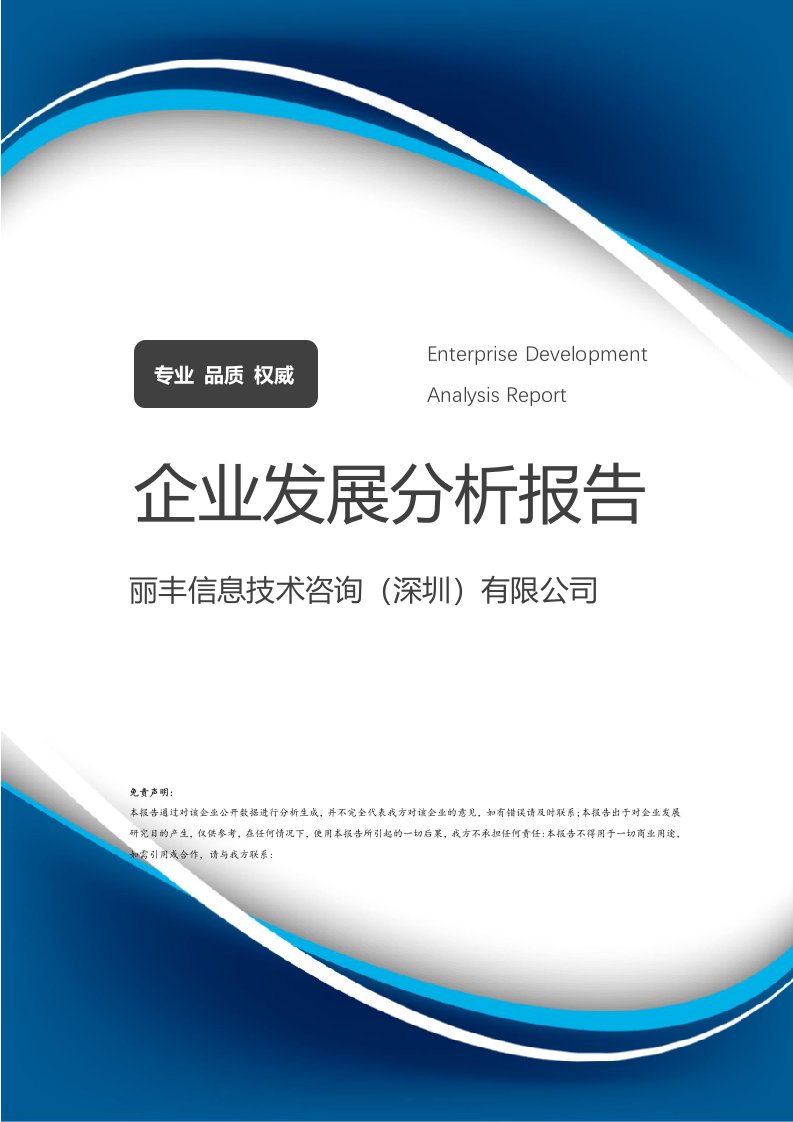丽丰信息技术咨询（深圳）有限公司企业发展分析报告