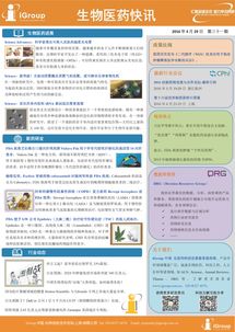 长煦信息技术咨询 赋能企业数字化转型的智能引擎